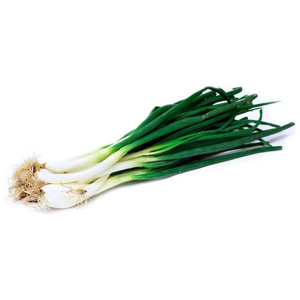Calçots manojo de 25 uds. - 1 ud - Imagen del producto en Findit