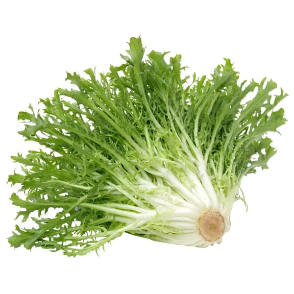 Escarola HORTALIZA Barqueta - 0.4 kg - Imagen del producto en Findit