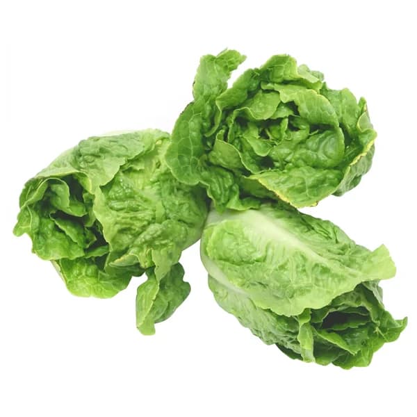 Cogollos de lechuga bandeja de 3 uds. - 1 ud - Imagen del producto en Findit