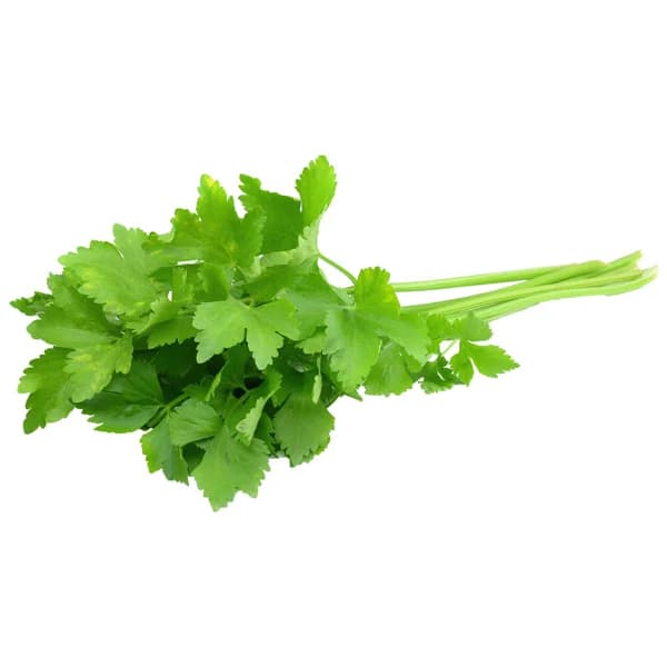 Cilantro manojo - 1 ud - Imagen del producto en Findit