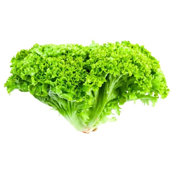Lechuga Lollo verde 1ud 150g. - 0.15 kg - Imagen del producto en Findit