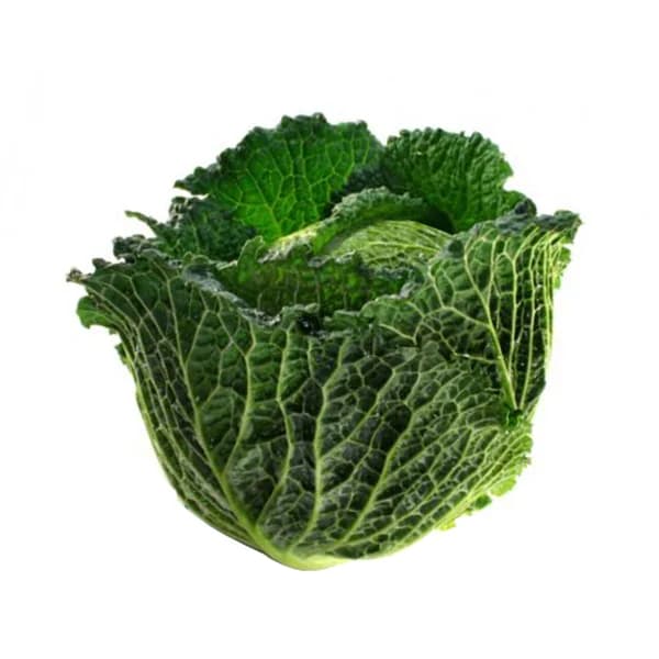 Repollo rizado - 1 ud - Imagen del producto en Findit