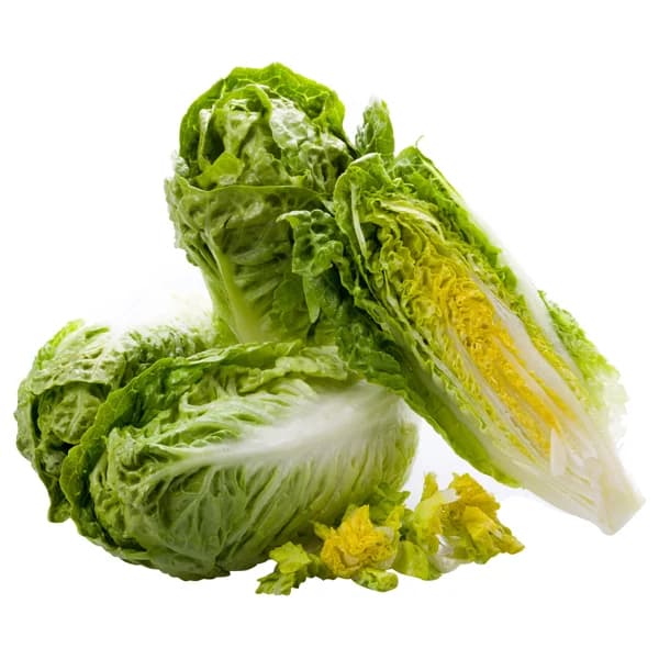 Corazones de lechuga bandeja de 6 Unidades - 0.3 kg - Imagen del producto en Findit