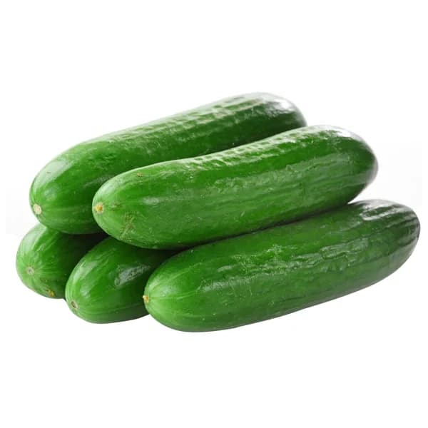 Pepino negro a granel - 1 ud - Imagen del producto en Findit
