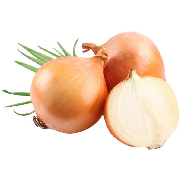 ALCAMPO CULTIVAMOS LO BUENO ECOLÓGICO Cebollas ecológicas  malla de 1 kg - 1 kg - Imagen del producto en Findit