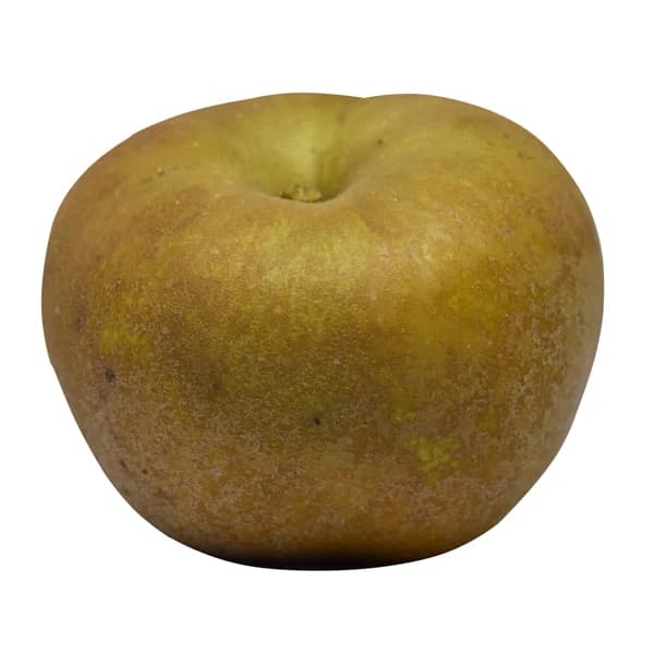 Manzana Reineta gris a granel - 1 ud - Imagen del producto en Findit