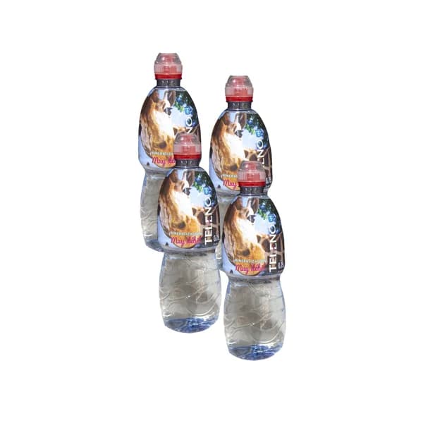 TELENO Agua mineral pack 4 uds. x 75 cl. - 3 l - Imagen del producto en Findit