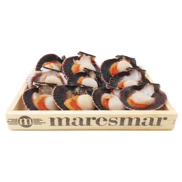 MARESMAR Vieira media concha caja de 10 unidades - 1 ud - Imagen del producto en Findit