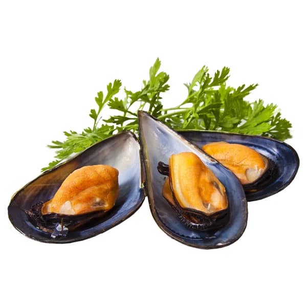 ALCAMPO CULTIVAMOS LO BUENO Mejillones 25/37  Bandeja de 1 kg. - 1 kg - Imagen del producto en Findit