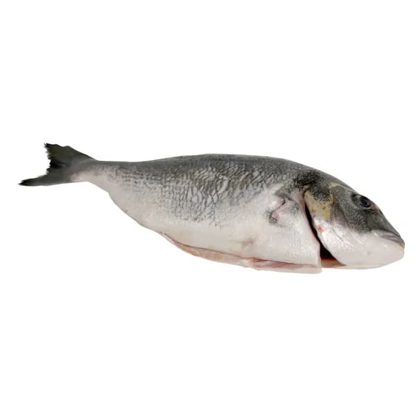 Dorada grande mostrador - Entera limpia - 1 ud - Imagen del producto en Findit