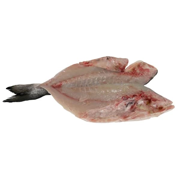 Dorada grande mostrador - Espalda con espinas - 1 ud - Imagen del producto en Findit