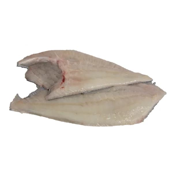 Rodaballo mostrador - Filetes - 1 ud - Imagen del producto en Findit