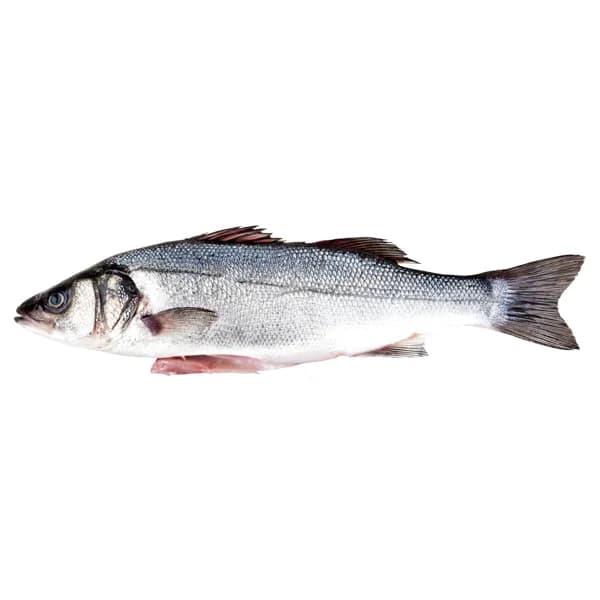 Lubina limpia eviscerada - 1 ud - Imagen del producto en Findit