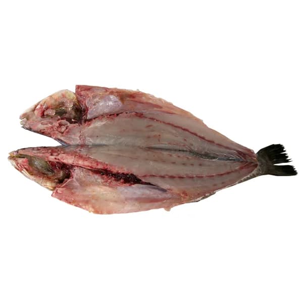 Corvina mostrador - Espalda con espinas - 1 ud - Imagen del producto en Findit