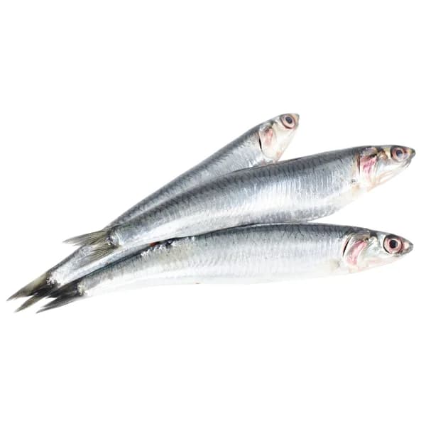 Anchoa mostrador - 1 ud - Imagen del producto en Findit