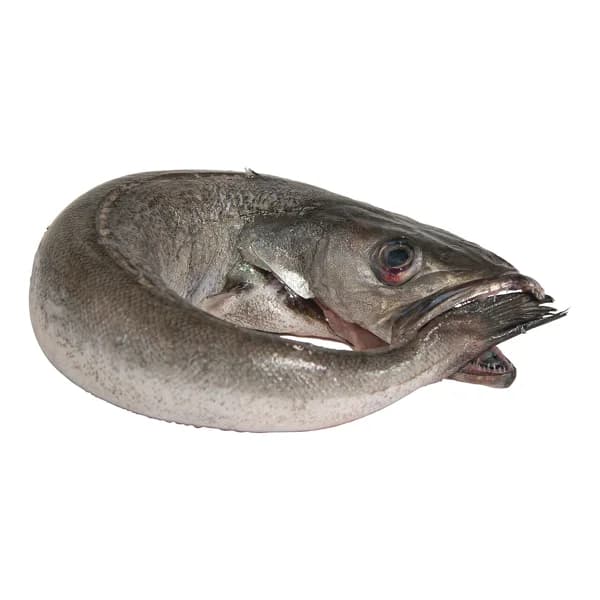 Merluza pincho mostrador - Entera limpia - 1 ud - Imagen del producto en Findit