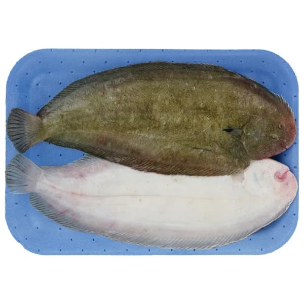 Lenguado (pieza entera) - 1 ud - Imagen del producto en Findit