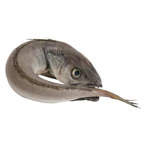 Pescadilla fina mostrador - Entera - 1 ud - Imagen del producto en Findit