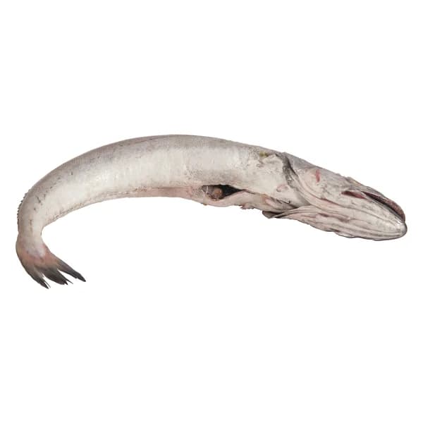 Pescadilla fina mostrador - Entera limpia - 1 ud - Imagen del producto en Findit