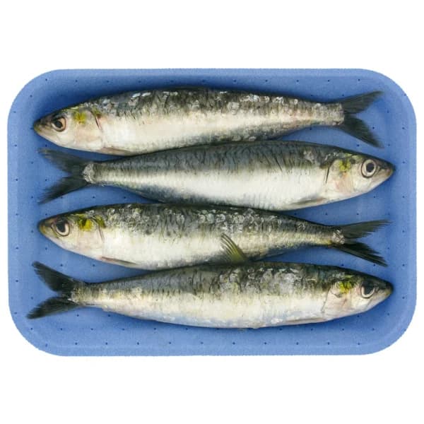 Sardinas - 1 ud - Imagen del producto en Findit