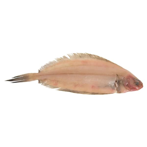 Lenguadina mostrador - Entera - 1 ud - Imagen del producto en Findit
