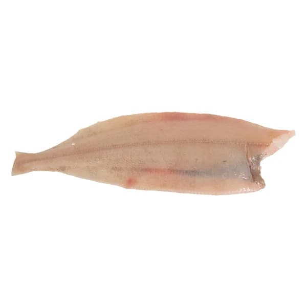 Lenguadina mostrador - Entera limpia - 1 ud - Imagen del producto en Findit