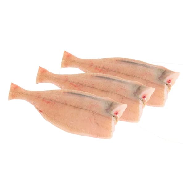 Gallitos mostrador - Entero limpio - 1 ud - Imagen del producto en Findit