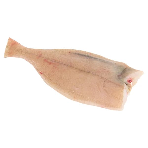 Gallo mostrador - Entero limpio - 1 ud - Imagen del producto en Findit