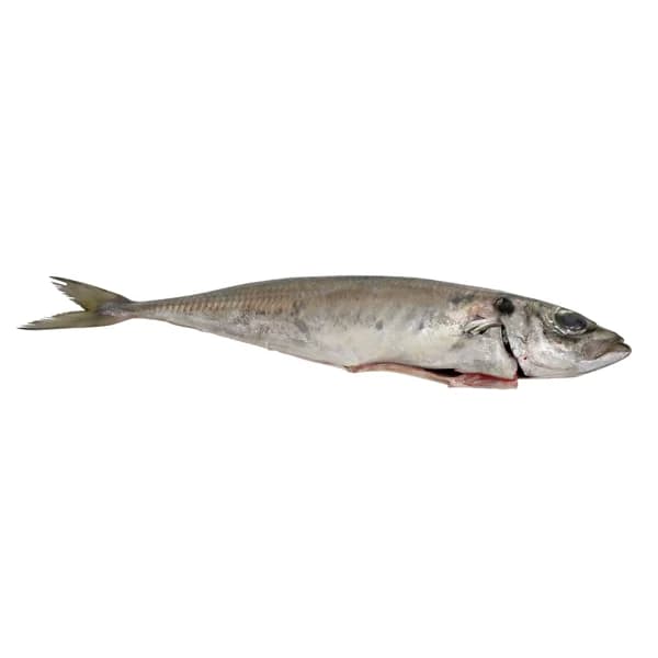 Chicharro mostrador - Entero limpio - 1 ud - Imagen del producto en Findit