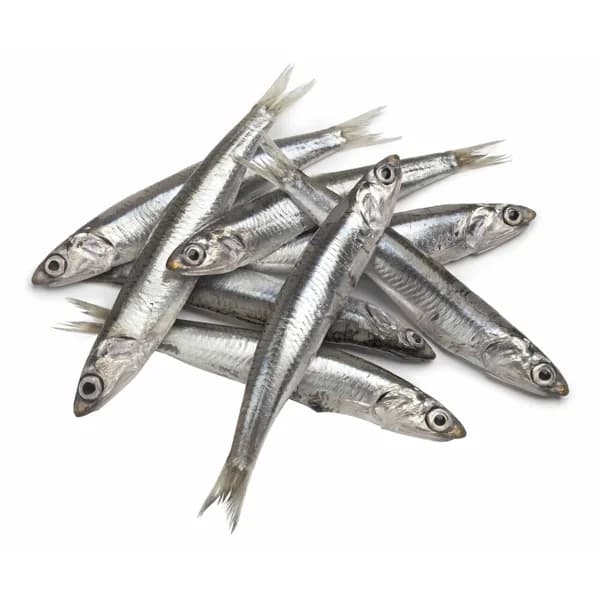 Boquerón mostrador de lonja local - 1 ud - Imagen del producto en Findit