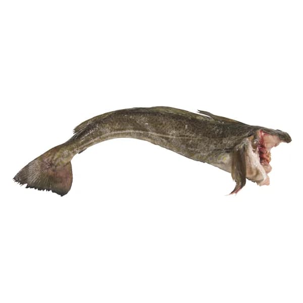 Bacalao mostrador - 1 ud - Imagen del producto en Findit