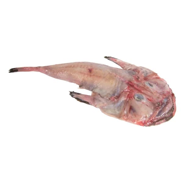 Rape entero mostrador - Entero limpio - 1 ud - Imagen del producto en Findit