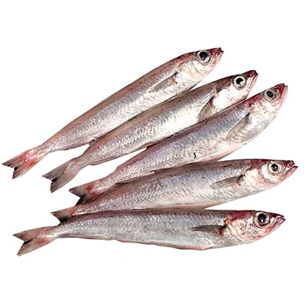 Bacaladilla al kilo. - 1 ud - Imagen del producto en Findit