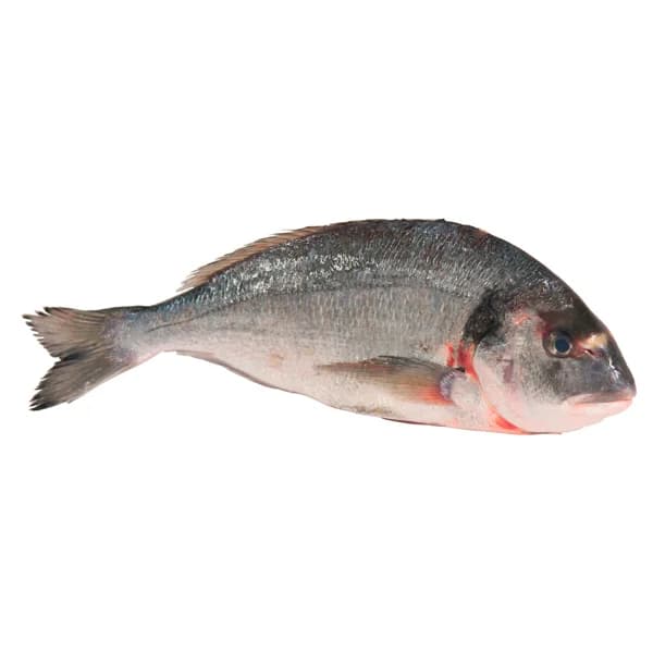 Dorada mostrador - Entera - 1 ud - Imagen del producto en Findit