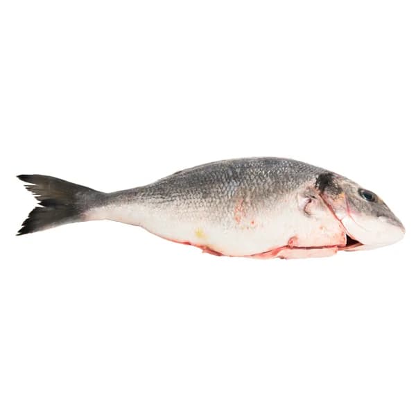 Dorada mostrador - Entera limpia - 1 ud - Imagen del producto en Findit