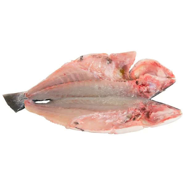 Dorada mostrador - Espalda con espinas - 1 ud - Imagen del producto en Findit