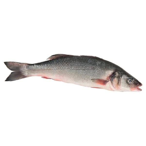 Lubina mostrador - Entera - 1 ud - Imagen del producto en Findit