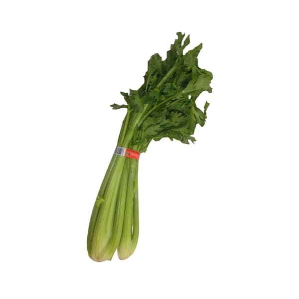 Apio verde manojo - 1 ud - Imagen del producto en Findit