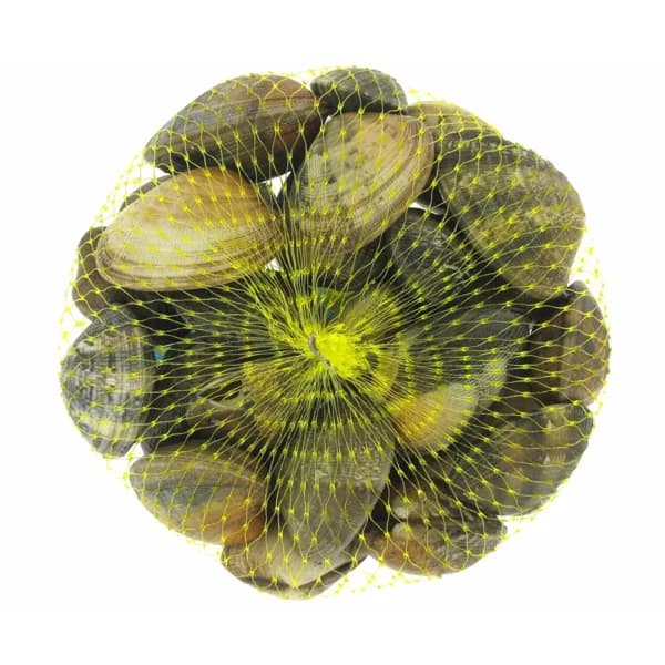 Almeja japónica 80/110 malla 500 gr - 0.5 kg - Imagen del producto en Findit