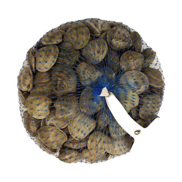 Chirla malla 500 g. - 0.5 kg - Imagen del producto en Findit