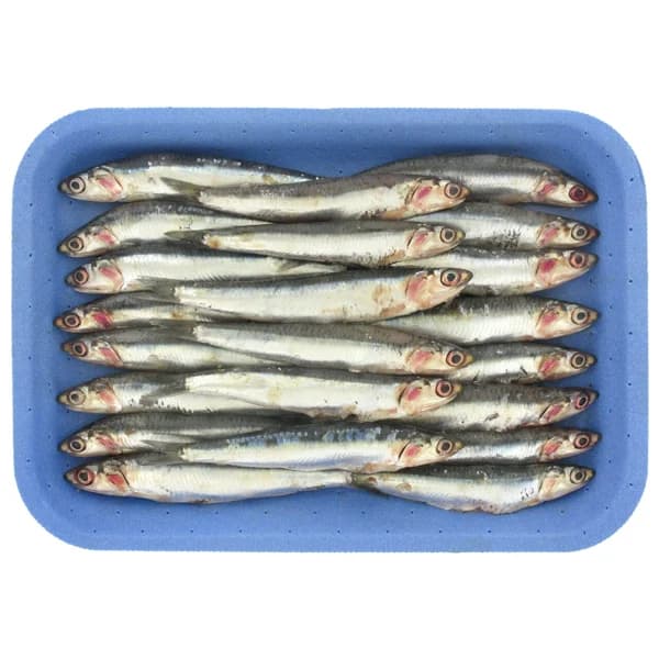 Boquerón grande - 1 ud - Imagen del producto en Findit
