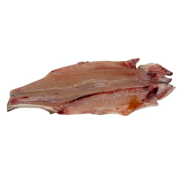 Trucha asalmonada grande mostrador - Espalda con espinas - 1 ud - Imagen del producto en Findit