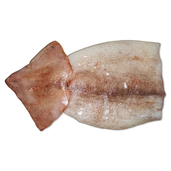 Pota fresca mostrador - Entera limpia - 1 ud - Imagen del producto en Findit