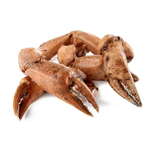 TERRANOVA Bocas cocidas - 1 ud - Imagen del producto en Findit