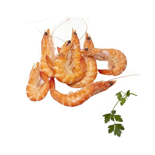 Langostino cocidos calibre 30-40 - 1 ud - Imagen del producto en Findit