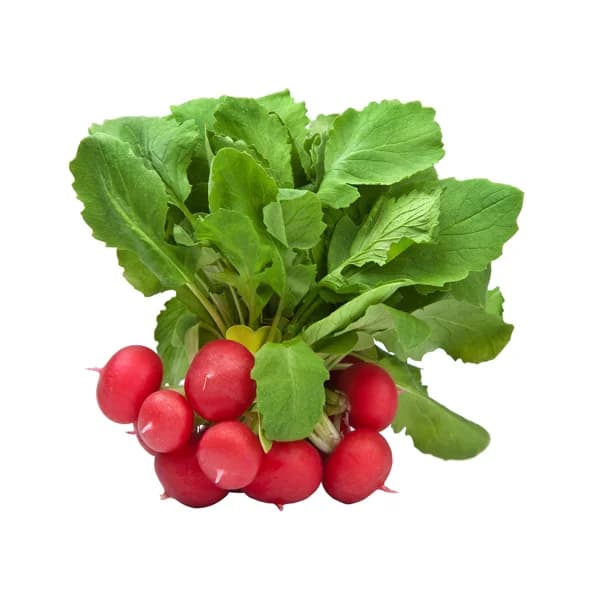 Rabanitos manojo de 350 g. aprox. - 0.35 kg - Imagen del producto en Findit