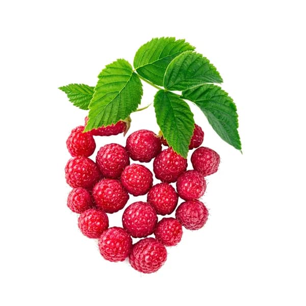Frambuesa, tarrina 125 g. - 0.13 kg - Imagen del producto en Findit