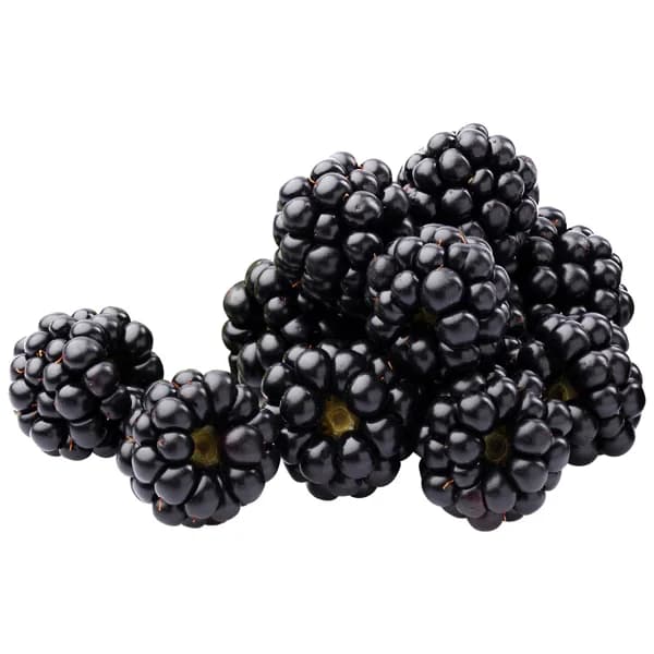 Moras, tarrina de 125 g. - 0.13 kg - Imagen del producto en Findit