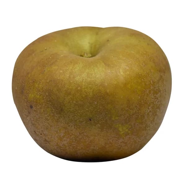 Manzana reineta DOP Bierzo a granel. - 1 ud - Imagen del producto en Findit