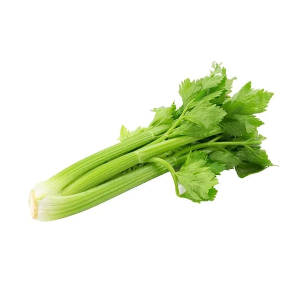 Apio ecológico bandeja 400 g. - 1 ud - Imagen del producto en Findit